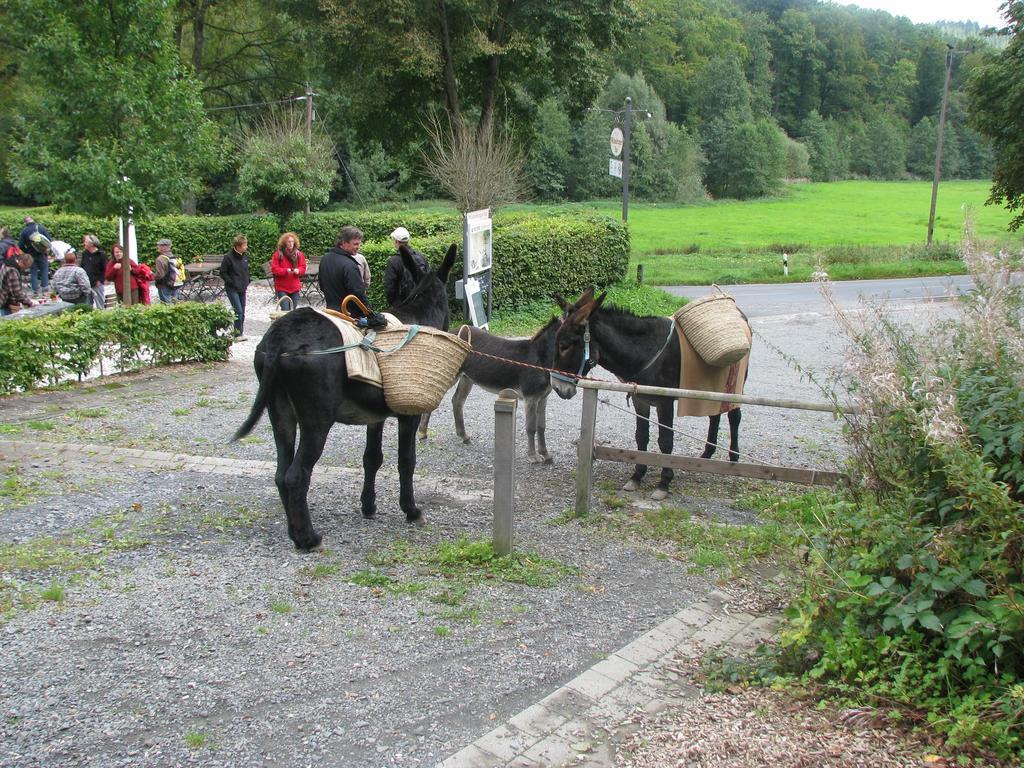 Wildenburger Hof Hotel Friesenhagen Luaran gambar