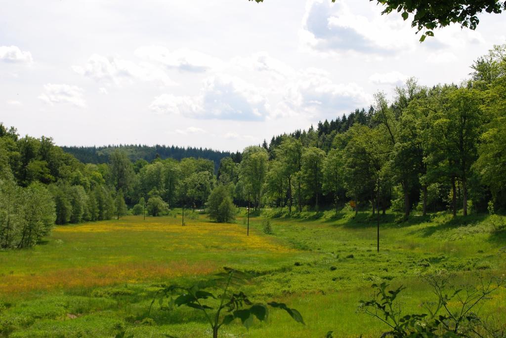 Wildenburger Hof Hotel Friesenhagen Luaran gambar